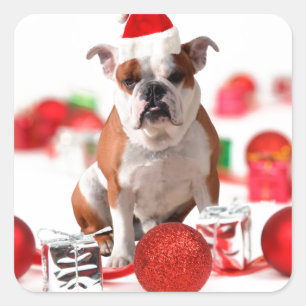 Pegatina Cuadrada La caja de regalo del navidad del bulldog adorna
