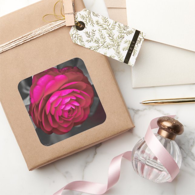 Pegatina Cuadrada La Camelia Rosa  (Regalar)