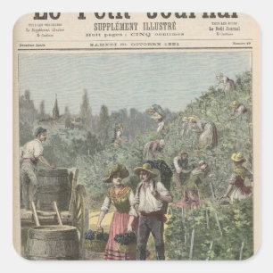 Pegatina Cuadrada La cosecha de vino