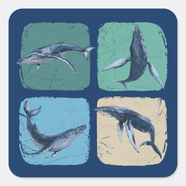 Pegatina Cuadrada La divertida observación de ballenas jorobadas (Anverso)