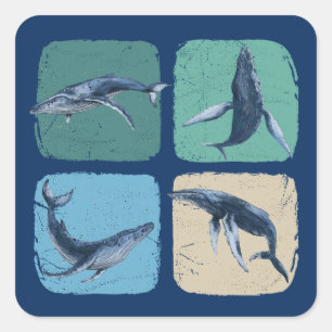 Pegatina Cuadrada La divertida observación de ballenas jorobadas
