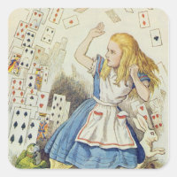 La ducha de las tarjetas