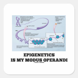 Pegatina Cuadrada La Epigenética Es Mi Modus Operandi (Mecanismos)