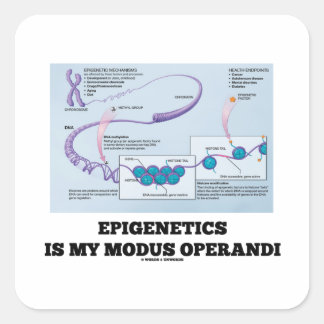 Pegatina Cuadrada La Epigenética Es Mi Modus Operandi (Mecanismos)