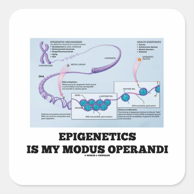 Pegatina Cuadrada La Epigenética Es Mi Modus Operandi (Mecanismos) (Anverso)