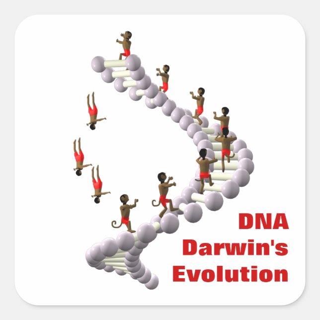 Pegatina Cuadrada La evolución del ADN de Darwin (Anverso)