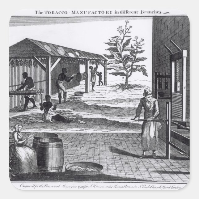 Pegatina Cuadrada La fábrica de tabaco en diferentes ramas (Anverso)