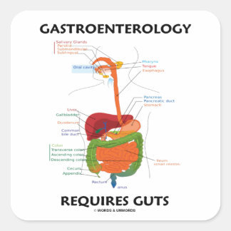 Pegatina Cuadrada La Gastroenterología Requiere Gotas (Sistema Diges