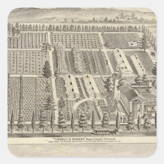 Pegatina Cuadrada La guardería de Turnbull, Fitch res (Anverso)