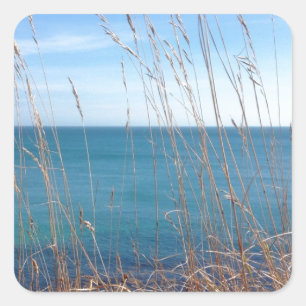 Pegatina Cuadrada La hermosa hierba y el mar