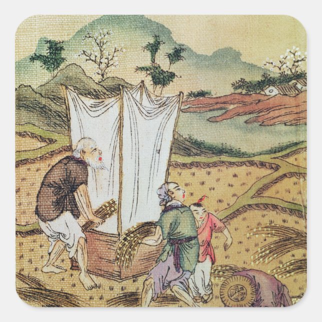 Pegatina Cuadrada La historia del arroz (Anverso)