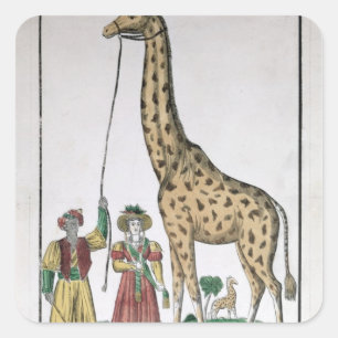 Pegatina Cuadrada La jirafa presentada al rey del bajá de