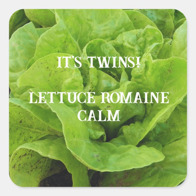 Pegatina Cuadrada La lechuga verde de los gemelos (Anverso)
