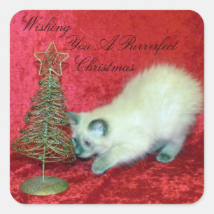 Pegatina Cuadrada La Navidad divertida de Savannah - Gatito / Gato