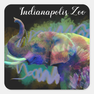 Pegatina Cuadrada La suerte del elefante de la nariz