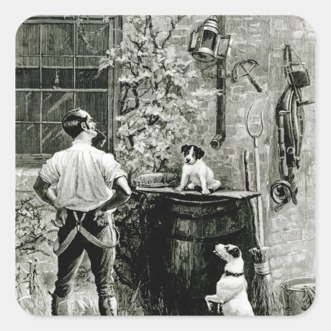 Pegatina Cuadrada La supervivencia del más apto (Anverso)