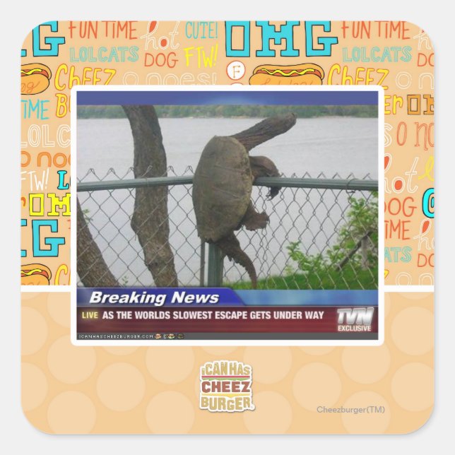 Pegatina Cuadrada La tortuga excapante (Anverso)