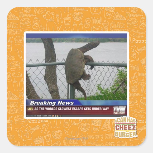 Pegatina Cuadrada La tortuga excapante (Anverso)