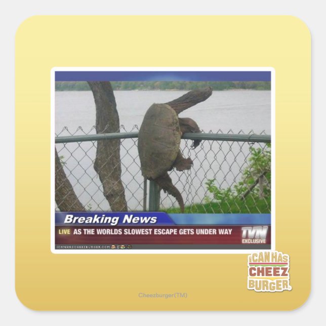 Pegatina Cuadrada La tortuga excapante (Anverso)