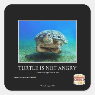 Pegatina Cuadrada La tortuga no está enojada