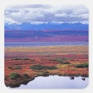 Pegatina Cuadrada La tundra del Parque Nacional Denali a finales