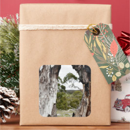 Pegatina Cuadrada La ventana de la naturaleza