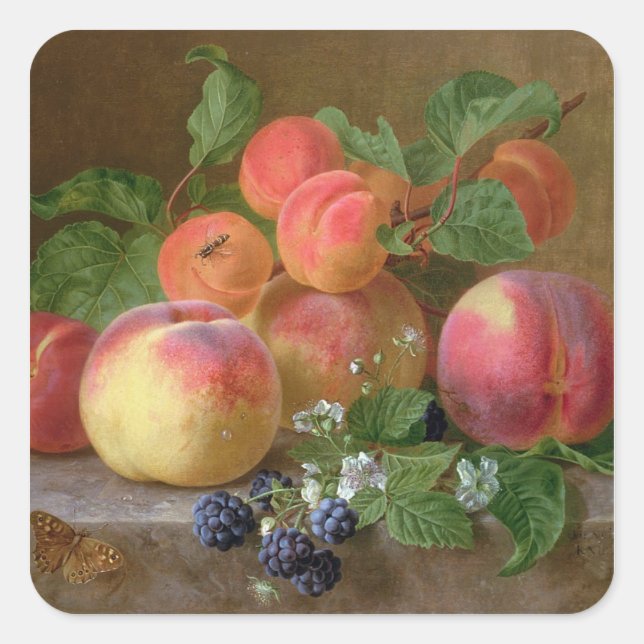 Pegatina Cuadrada La vida de los melocotones (Anverso)