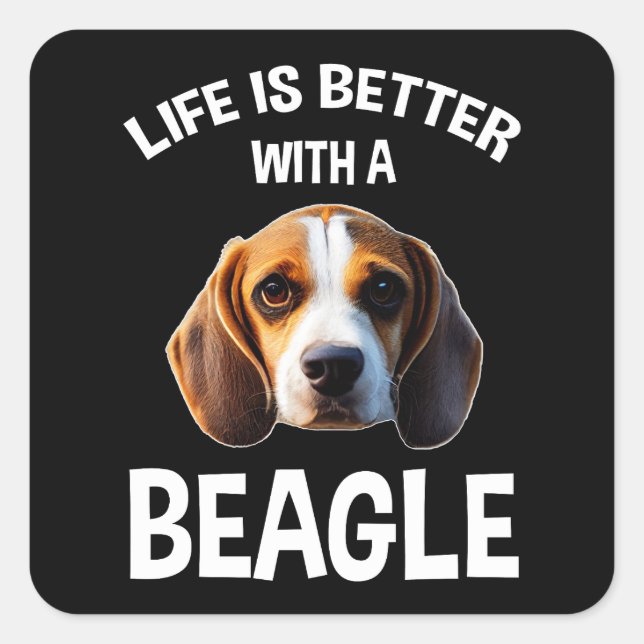 Pegatina Cuadrada La Vida Es Mejor Con Un Beagle (Anverso)
