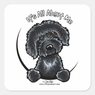 Pegatina Cuadrada Labradoodle negro IAAM
