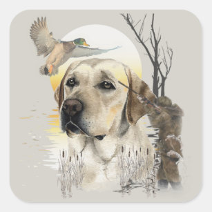 Pegatina Cuadrada Labrador, caza de pato