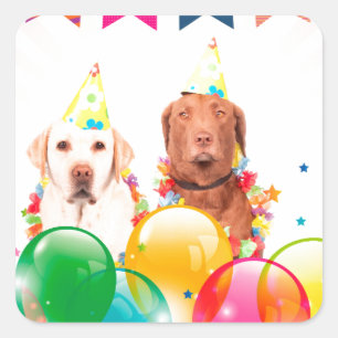 Pegatina Cuadrada Labrador recuperar globos de perro cumpleaños