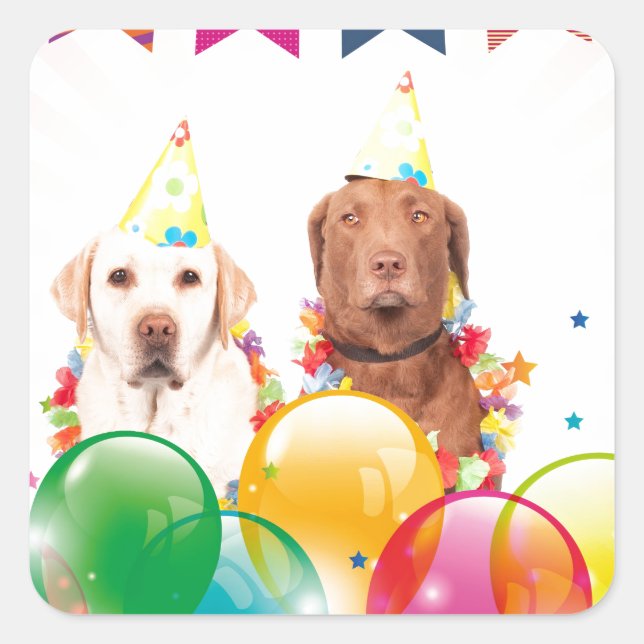 Pegatina Cuadrada Labrador recuperar globos de perro cumpleaños (Anverso)