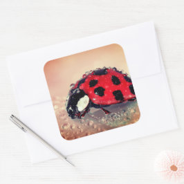 Pegatina Cuadrada Ladybug