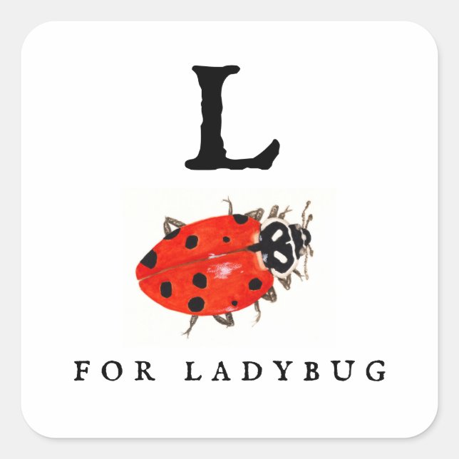 Pegatina Cuadrada Ladybug (Anverso)