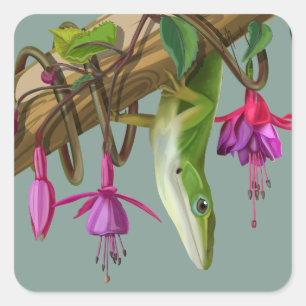 Pegatina Cuadrada Lagarto anolis verde con fucsias