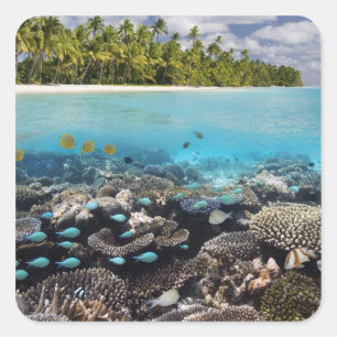 Pegatina Cuadrada Laguna tropical en el atolón de Ari Sur
