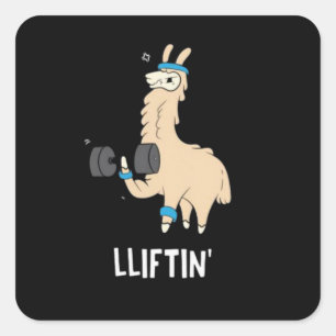 Pegatina Cuadrada Lama en el gimnasio - pesas levantadas