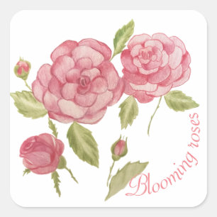 Pegatina Cuadrada Lápiz de dibujo a mano con rosas rosas rosas rosas
