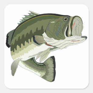 PEGATINA CUADRADA LARGEMOUTH BASS