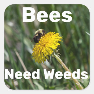 Pegatina Cuadrada Las abejas necesitan malezas