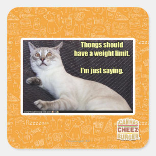 Pegatina Cuadrada Las correas deben tener un límite del peso