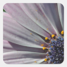 Pegatina Cuadrada Las flores en el interior