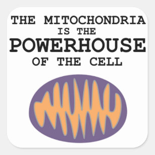 Pegatina Cuadrada Las mitocondrias son la central eléctrica -