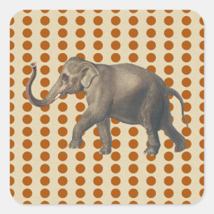 Pegatina Cuadrada Las picaduras de canela con elefante