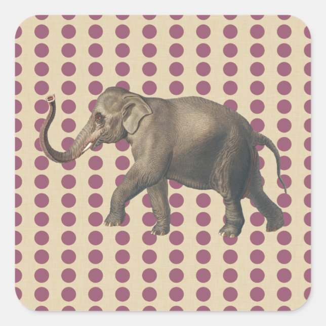 Pegatina Cuadrada Las picaduras de ciruelas con elefante (Anverso)