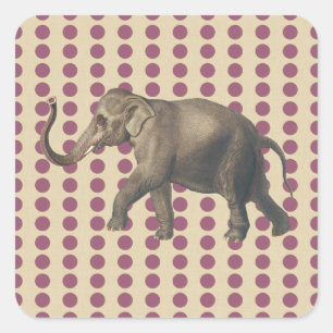 Pegatina Cuadrada Las picaduras de ciruelas con elefante