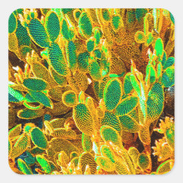 Pegatina Cuadrada Las plantas de cactus del desierto de África temen