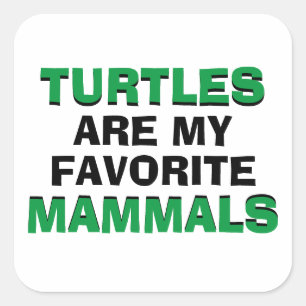 Pegatina Cuadrada Las Tortugas Son Mis Mamíferos Favoritos Chiste De