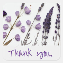 Lavender Gracias