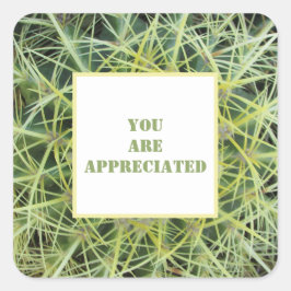 Pegatina Cuadrada Le Agradecemos La Planta Desierta Cactus.